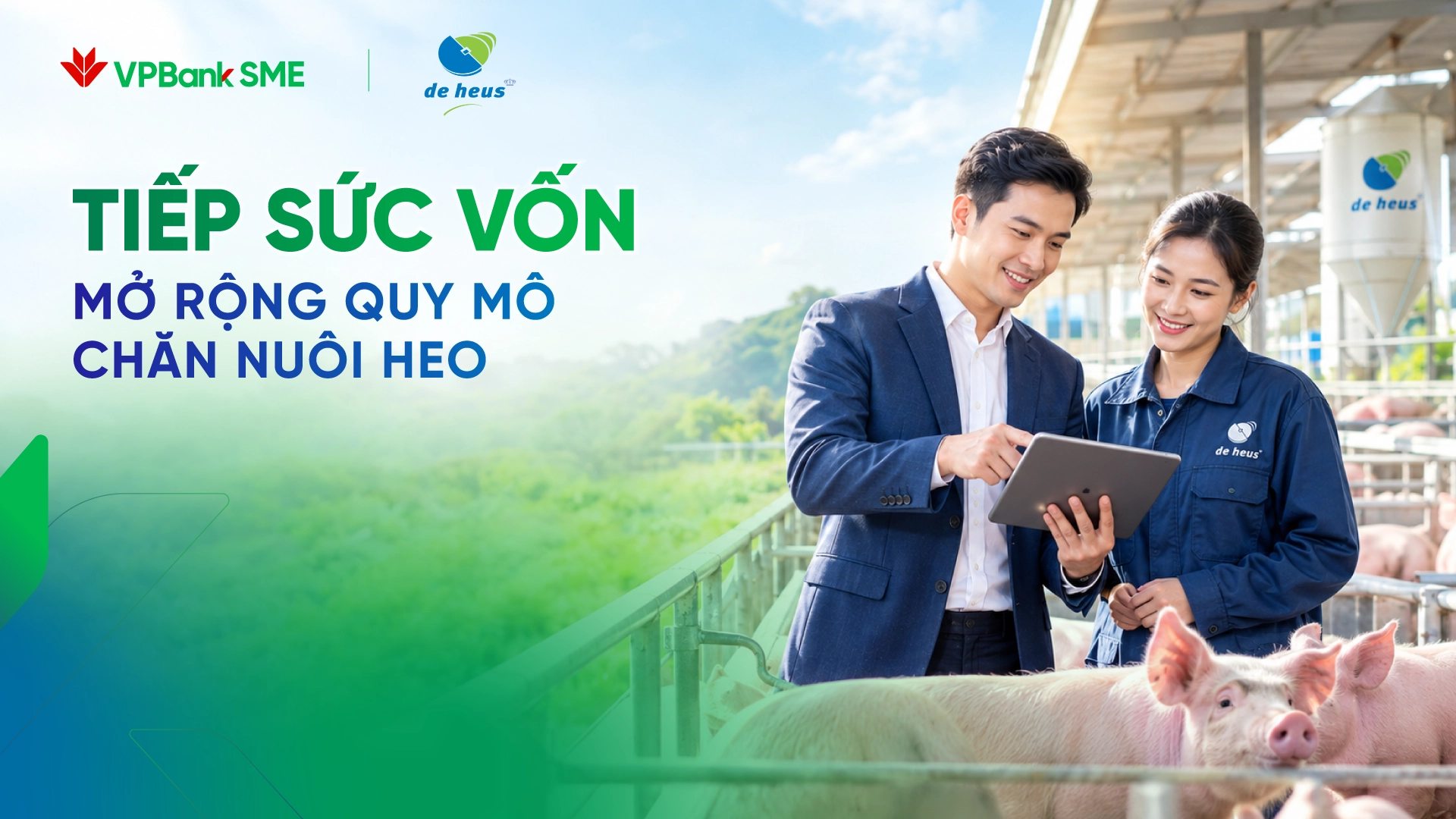 VPBank x De Heus – Tiếp sức vốn, mở rộng quy mô chăn nuôi heo